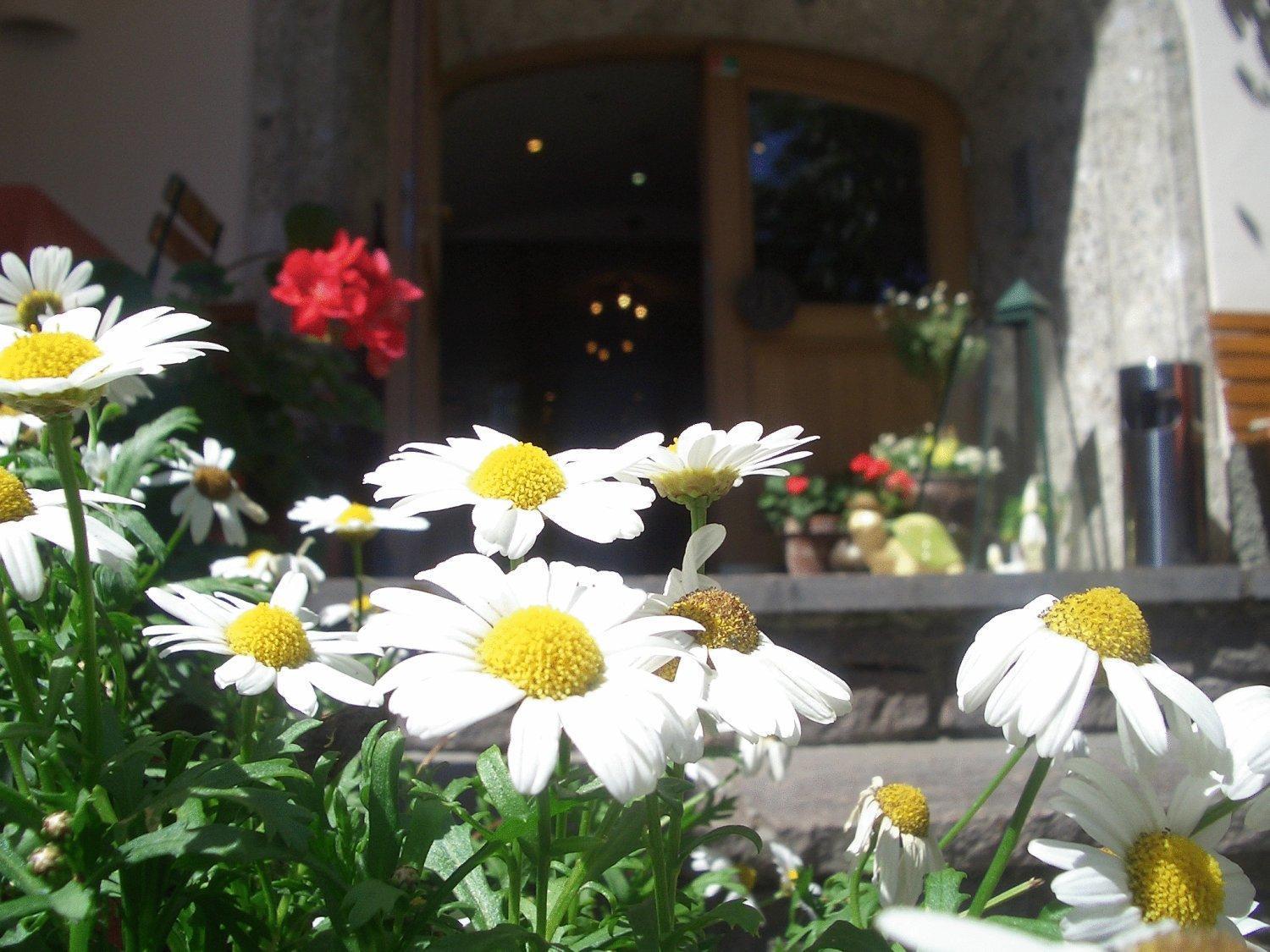 Gasthof Weberbauer Scheffau am Wilden Kaiser Exterior foto